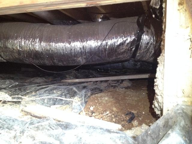 Exposed dirt floors