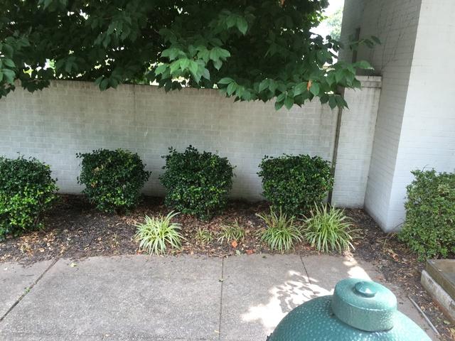 Another thing that is contributing to the wet basement problem in this Owensboro, KY home is that there are bushes planted next to the foundation wall all the way around the home.  Check out the next photo to see why this is a problem!

Daniel noted this problem for the homeowners to determine how they wanted to reconfigure the yard.