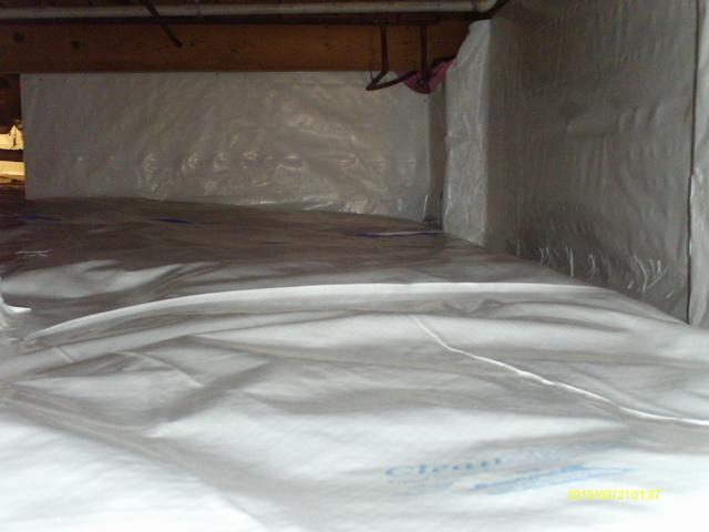 CleanSpace