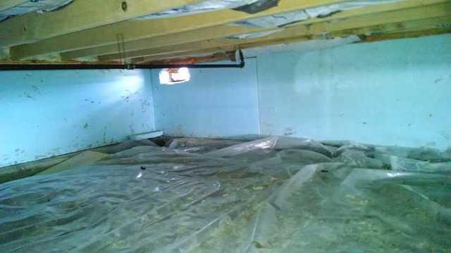 Crawl Space Needs To Be Encapsulated