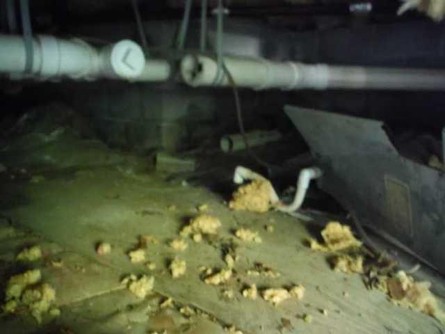 Dirty Crawl Space