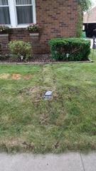 LawnScape Drainage