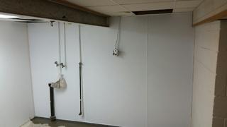 BrightWall in Davenport Basement