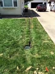LawnScape Buried Line
