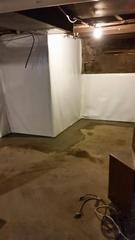 CleanSpace Wall Brightens and Protects