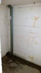 Damage and Brace