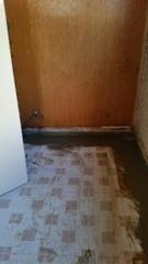 WaterGuard Sub-Floor