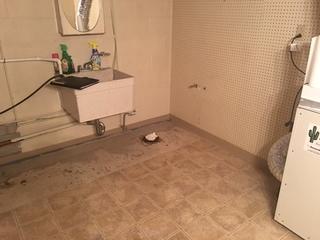 Old Laminate Flooring