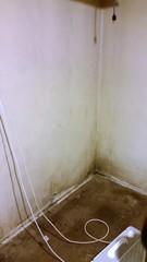 Mold Damage
