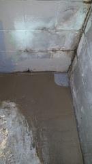 Dry Basement Reduces Mold