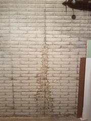 Untreated Crack