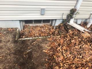 This is a classic example of how a basement can become dark and uninviting. The debris from the outside is preventing natural sunlight from entering the area.