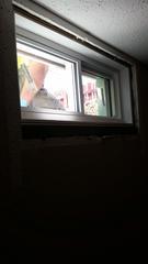 New Window