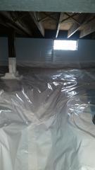 CleanSpace