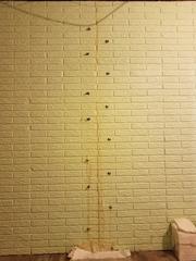 Wall Crack