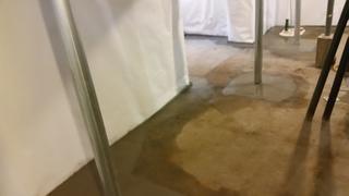 Full Basement
