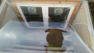 Egress Window