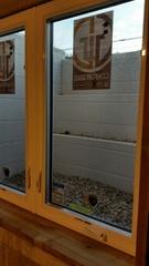 Window Well