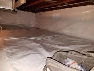 CleanSpace