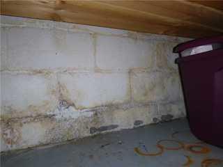 Chad wasn't lying about mold starting to grow on his walls. This is a large amount of mold, but fortunately we have the necessary tools and components to combat mold growth and halt future growth.