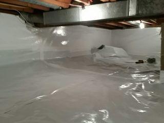CleanSpace