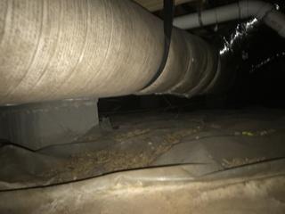 Crawl Space Repair in Fayettevilee, AR