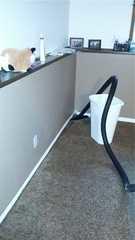 This corner was leaking causing water to puddle on the floor