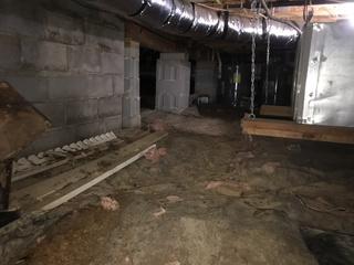 Dirt Crawl Space with High Levels of Moisture