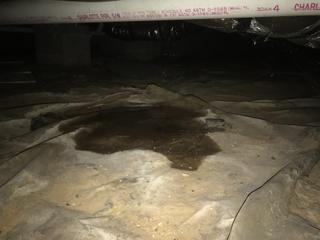 Musty Crawl Space Gets a Makover