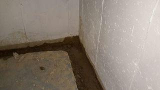 WaterGuard Drainage System