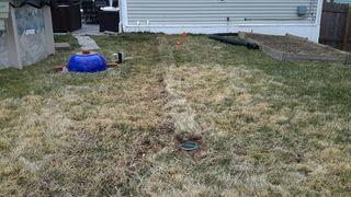 LawnScape Outlet Added