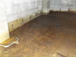 No one likes taking care of their crawl space, but unfortunately it has to be done, otherwise it will end up looking something like this...which actually isn't nearly as bad as many of the crawlspaces we encounter.