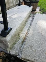 No Concrete Disturbance