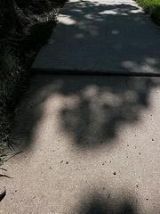 Tripping Alert