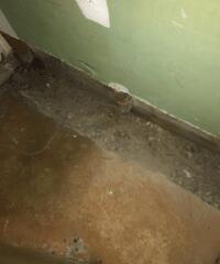 The trench has been dug for the installation of the WaterGuard.