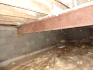 Here you can see that our camera picked up little dust particles in the crawl space air. Studies have shown that up to 40% of the air you breathe in your home comes from your crawl space due to a phenomena called the stack effect.