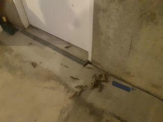 WaterGuard and Trench Drain