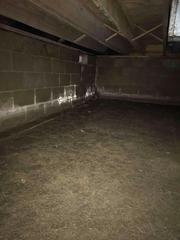 Before Sealing Crawl Space