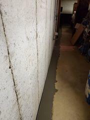 WaterGuard Drainage System