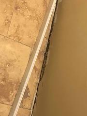 Water Damage in Basement
