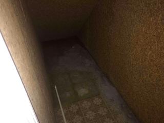 Before Waterproofing