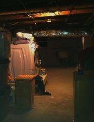 A dark, damp basement is a health hazard. Mold and bacteria can grow and leach up into the air in your home.