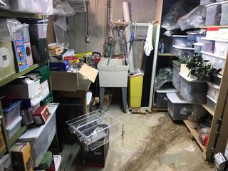 Water Damaged Basement