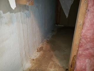 Waterproofing Fenton, Missouri Home