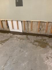 Saint Charles Leaking Basement