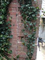 PushPier Foundation Support in Wentzville, MO