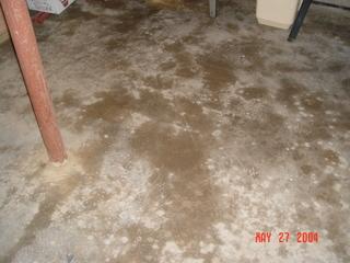 Watery Basement
