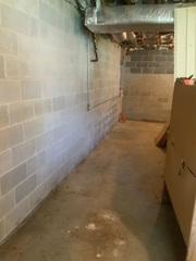 There were water stains and mildew throughout the basement.