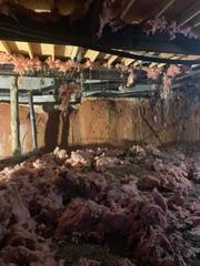 The insulation was falling down and the crawlspace smelled moldy.
