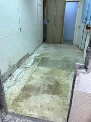 Previous flooding has cause significant water damage and mold growth.